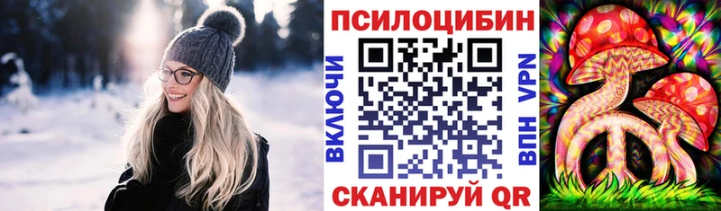 купить закладку Ядрин Галлюциногенные грибы MAGIC MUSHROOMS