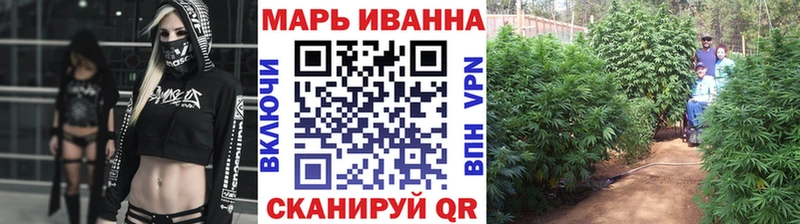 купить наркотики сайты  Ядрин  МАРИХУАНА White Widow 